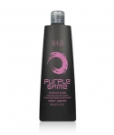 BES Purple Game Color Reflection Shampoo 300ml