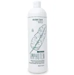 BES Colour Lock Amphoten Shampoo 1000ml