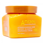 Dancoly Angel Professional Water Element Nourishing Cream 500g
