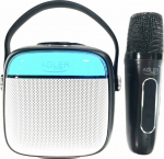 Adler AD 1199 black Karaoke speaker with microphone - SD/USB/AUX/Bluetooth