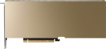 PNY 32GB RTX PRO 4500 Blackwell Server Edition (passiv)