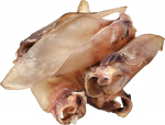 PETITTO Beef ear with cartilage - dog treat - 10