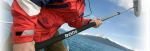 R&Oslash;DE BOOMPOLE microphone part/accessory