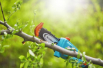 Gardena Cordless Pole Pruner TCS 20/18V P4A Ready-To-Use Set