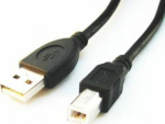 Cablexpert | CCP-USB2-AMBM-6 | USB-A to USB-B USB B