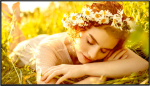 LG UHD Signage | 75UL5Q-M | 75 " | Landscape/Portrait | 24/7 | webOS | Wi-Fi | 8 ms | 178 &deg; | 178 &deg; | 500 cd/m&sup2;