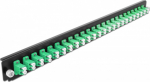 Delock Rack mounting plate for fiber optic splice box - front - LC SM X 24 - gr&uuml;n - 1U - 48.3 cm (19")