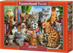 1565 Castorland Puzzle 2000 House of Cats