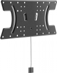 Techly LED 300 - Befestigungskit (Wandmontage) - starr, d&uuml;nn - for OLED display / OLED Curved display - Schwarz - screen size: 81.3-165.1 cm (32"-65")