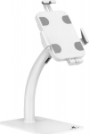 Maclean Wall Bracket / advertising desk for tablet with lock 7.9-11 inches universal MC-468W White