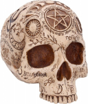 Nemesis Now: Premium Quality - Apothecary Skull (B7537B26)