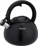 Non-Electric Kettle TEFAL N4180410, Black, Matte