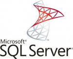 Microsoft SQL SVR STD CORE, OVS GOV LIC W/SA L:D ADP