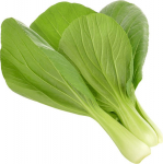 Click & Grow Smart Garden refill Pak Choi 3tk