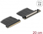 Delock Riser Card