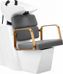 Activeshop Gabbiano hairdressing wash Porto gold gray