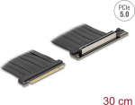Delock Riser Card