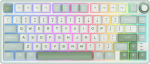 Keyboard Royal Kludge ROYAL KLUDGE R75 Sky Cyan Gaming Keyboard Brown switch