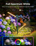 Govee RGBICWW Garden Lights | Garden lighting LED | RGBWW, 1100 Lm, 2.4GHz Wi-Fi + Bluetooth, IP66