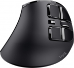 MOUSE USB OPTICAL ERGONOMIC/VOXX 23731 TRUST