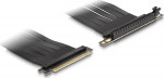 Delock Riser Card
