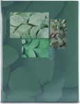 Hama Memo "Singo II" 10x15 100 Photos Leaves 7633