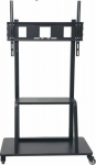 Vivolink Mobile floor stand up to VESA, 800x600