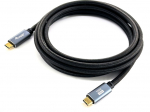 Equip Kabel USB-C3.2->C Gen2 4K PD100W St/St 2.00m schwarz