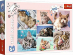 Trefl Puzzle 100 element&oacute;w W cat world