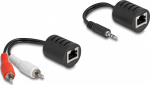 DELOCK Stereo Audio Extender RJ45 Bu zu 3.5 mm Klinkenst.2St