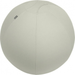 Leitz Ergo - active ball with extra balancing weight 65 cm, light gray