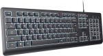 Trust Keyboard TRUST Primo Keyboard, membrane, USB-C, illuminated, czarny