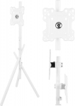 Maclean Uchwyt / floor stand do TV Maclean, 27-55'', max. VESA 200x200, max. 60kg, MC-181 W