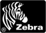 Zebra USB-Kabel - USB (M) zu RJ-45 (10-pole) (M)
