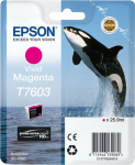 EPS Tusz Epson Epson ink cartridge vivid magenta T 7603 N