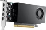 DEL DELL NVIDIA RTX A1000 8GB LP (4X MDP1.4A)