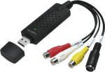 Logilink Grabber Audio/Video USB 2.0 Win 11