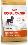 Roy ROYAL CANIN Miniature Schnauzer Adult - dry dog food - 3 kg