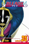VIZ Media Viz Bleach Vol. 35 Paperback Manga