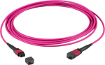 EFB Elektronik MTPF36MTPFOM4-30-A - 30 m - OM4 - MTP - MTP