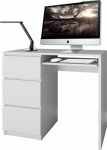 Topeshop LIMA LEWE BIEL MAT computer desk White