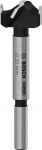 DRAUMET Hinge cutting bit EXPERT Lam Wood 25mm