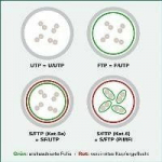 Value Patchcord S/FTP Cat6a. czarny. 3m