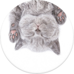 PopSockets PopGrip - phone holder, Cat Nap