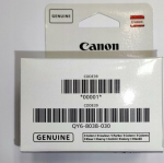 Canon Print Head Color