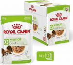 Roy ROYAL CANIN Adult xs-small - wet dog food - 12 x 85g