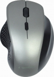 Gembird | Wireless Optical mouse | MUSW-6B-02-BG | Optical mouse | USB | Black-Spacegrey
