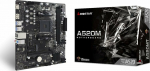 BIOSTAR A520MT motherboard