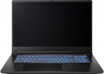 CAPTIVA Notebook Highend Gaming I98-033CH i7-13620H 17.3 - Notebook - Core i7