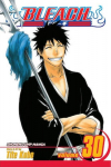 VIZ Media Viz Bleach Vol. 30 Paperback Manga
